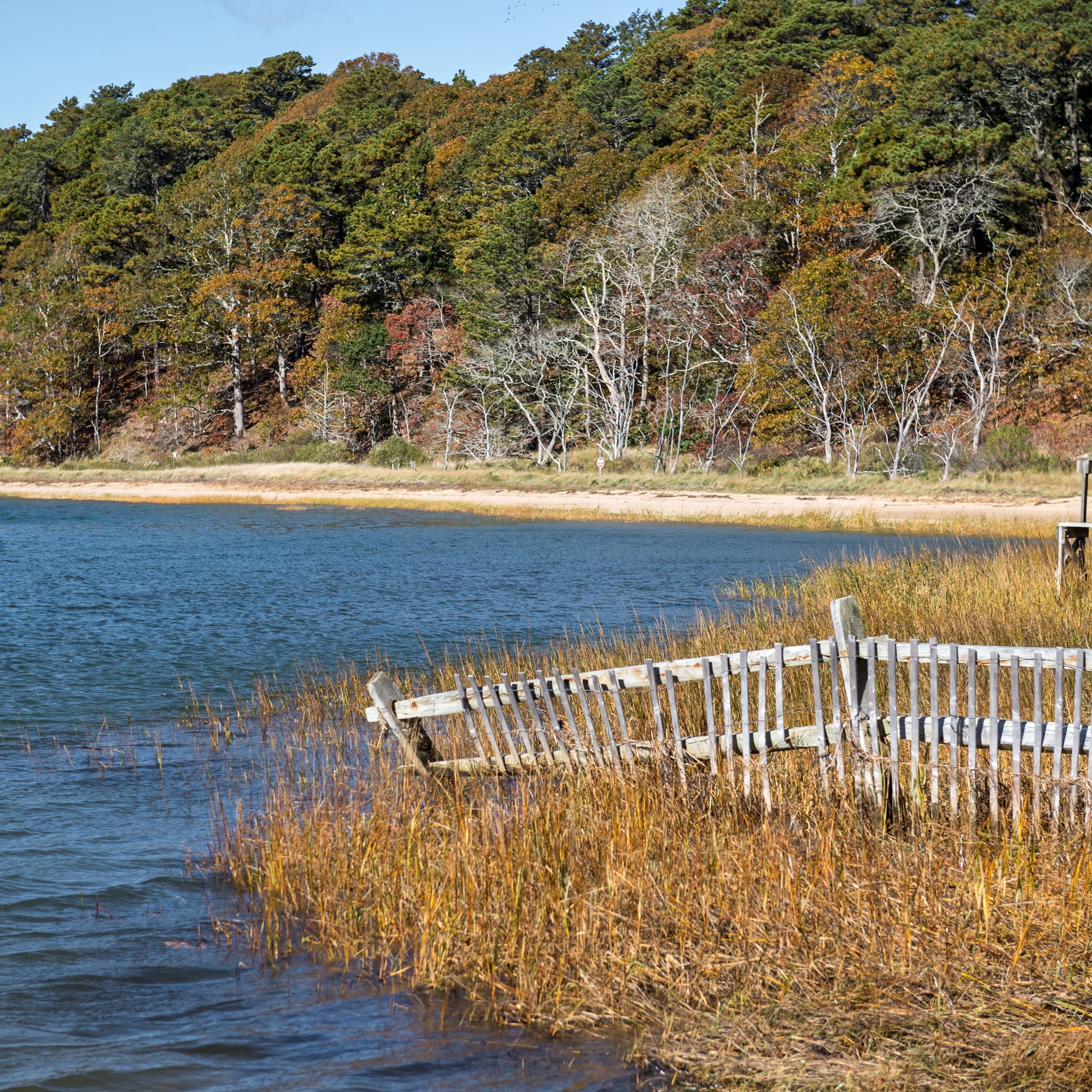 orleansfallpleasantbay2025-2-126