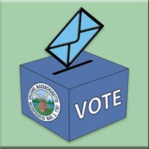 Vote Graphic 333 x 333